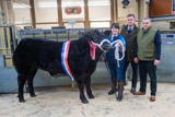 Champion Beast at Dumfries Christmas Show Limousin x Steer from Messrs Vance Bridge House 650kg at 300p-kg